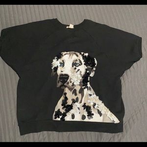 H&M short sleeve sweater